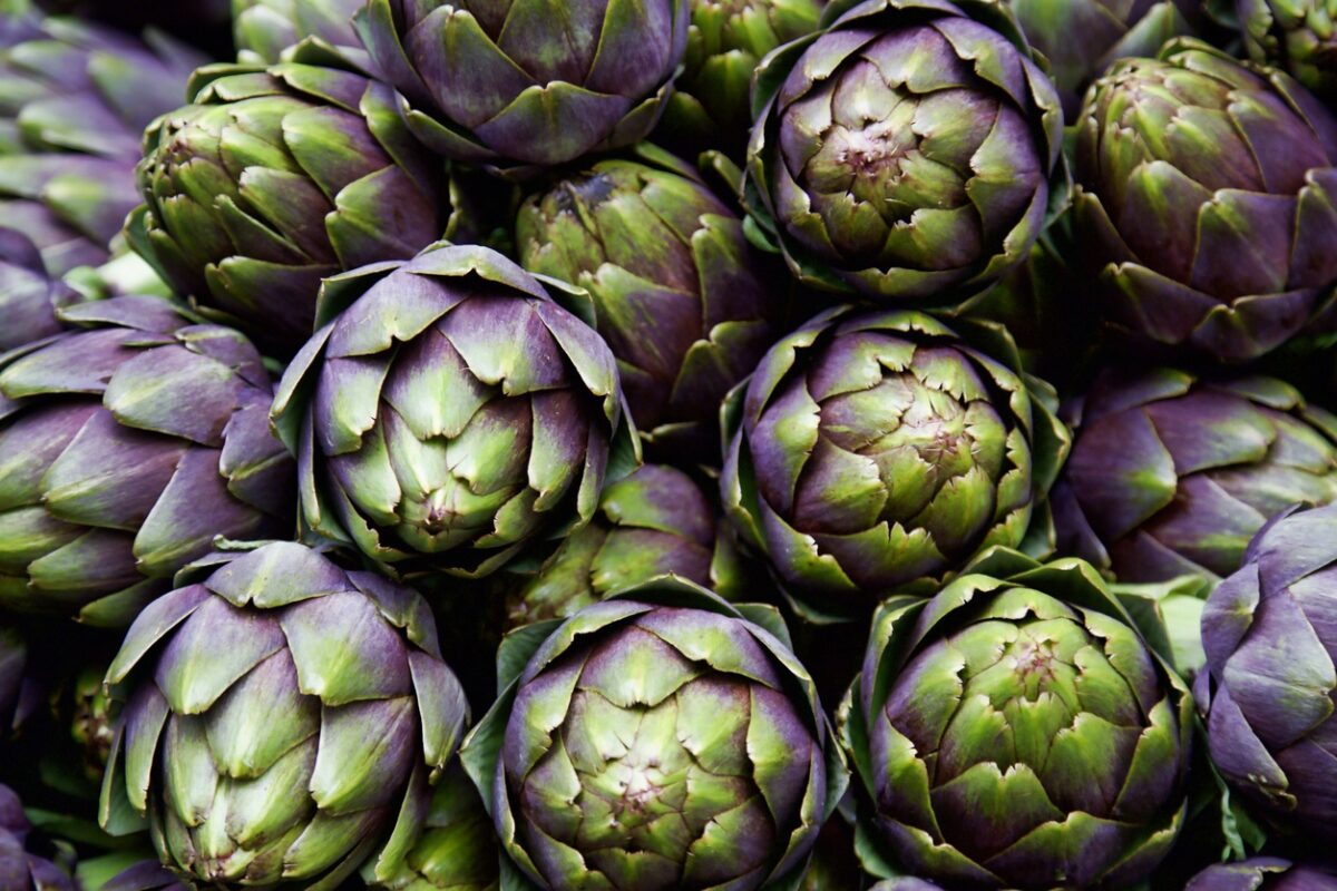 Things to Consider When Growing Artichokes in Your Garden